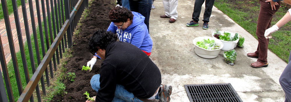 talleres de agricultura urbana